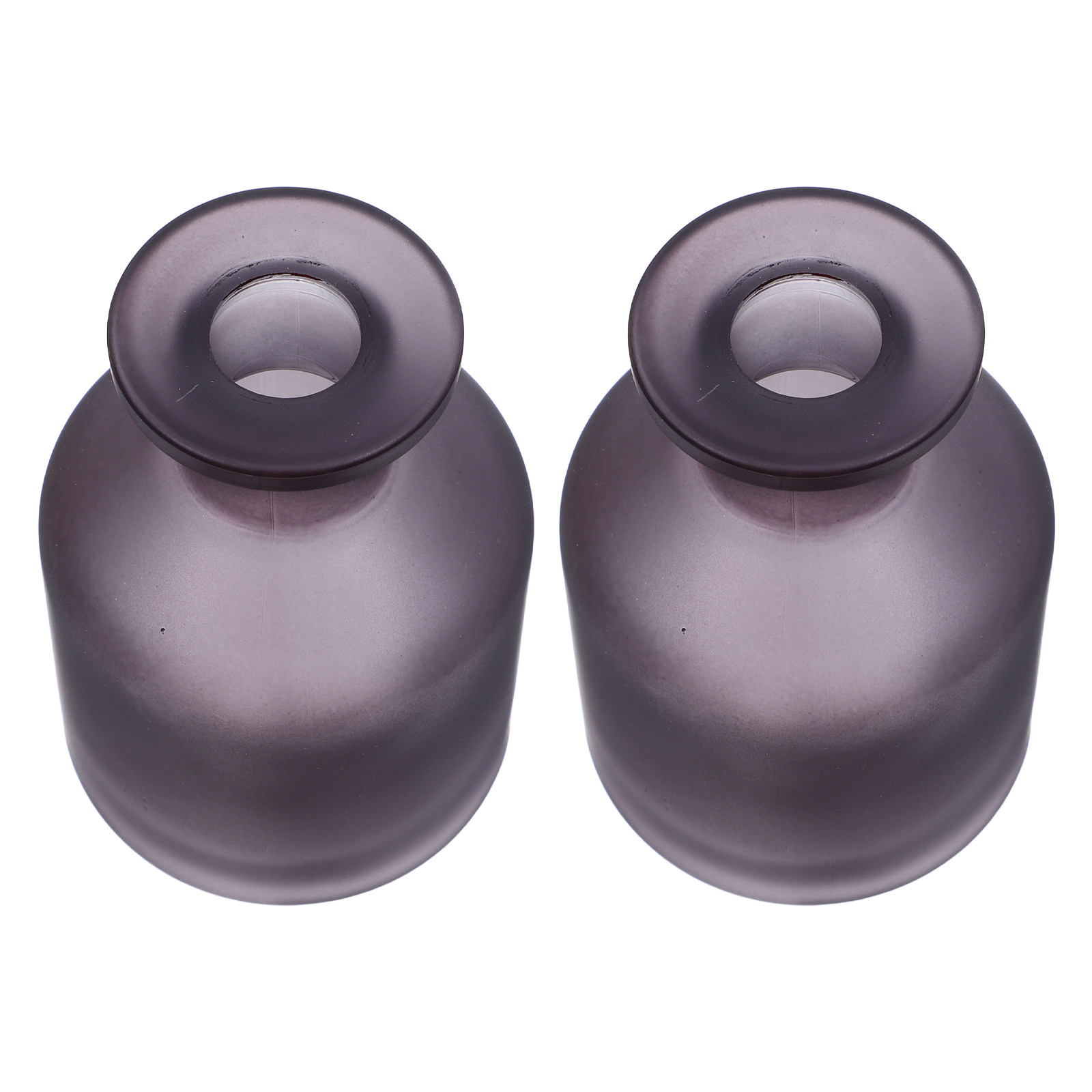 2 unidades de frascos difusore - Reusable Bottle reseña y precio