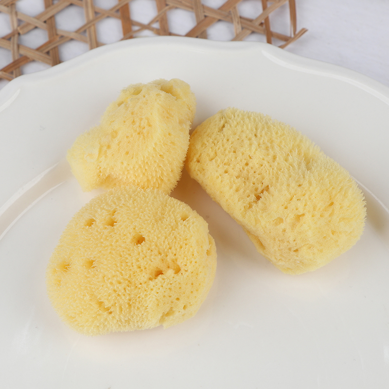 Herramienta de limpieza de pro - Eco Sponge reseña y precio