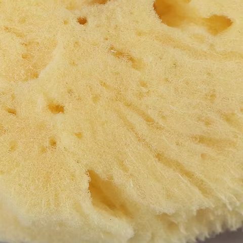 Herramienta de limpieza de pro - Eco Sponge reseña y precio