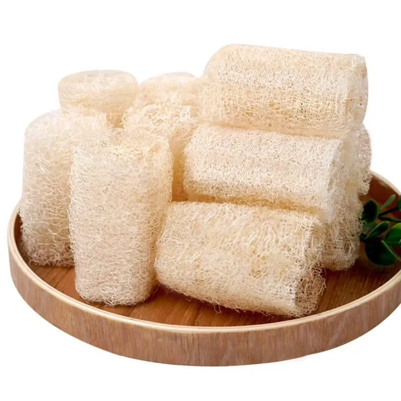Cepillo de Luffa Natural para  - Eco Sponge reseña y precio